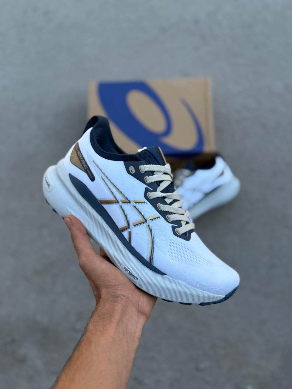 اسیکس کایانو ۳۱